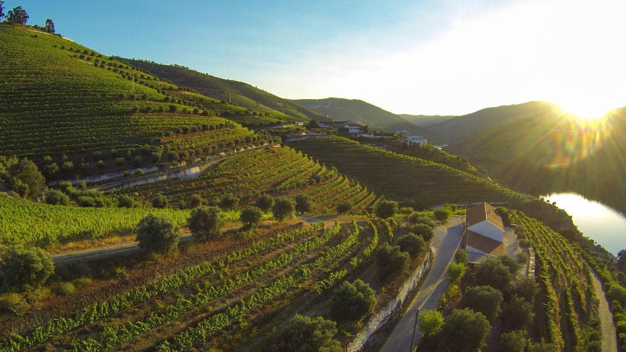 Quinta Sao Luiz The Vine House Douro Pension Tabuaço Buitenkant foto