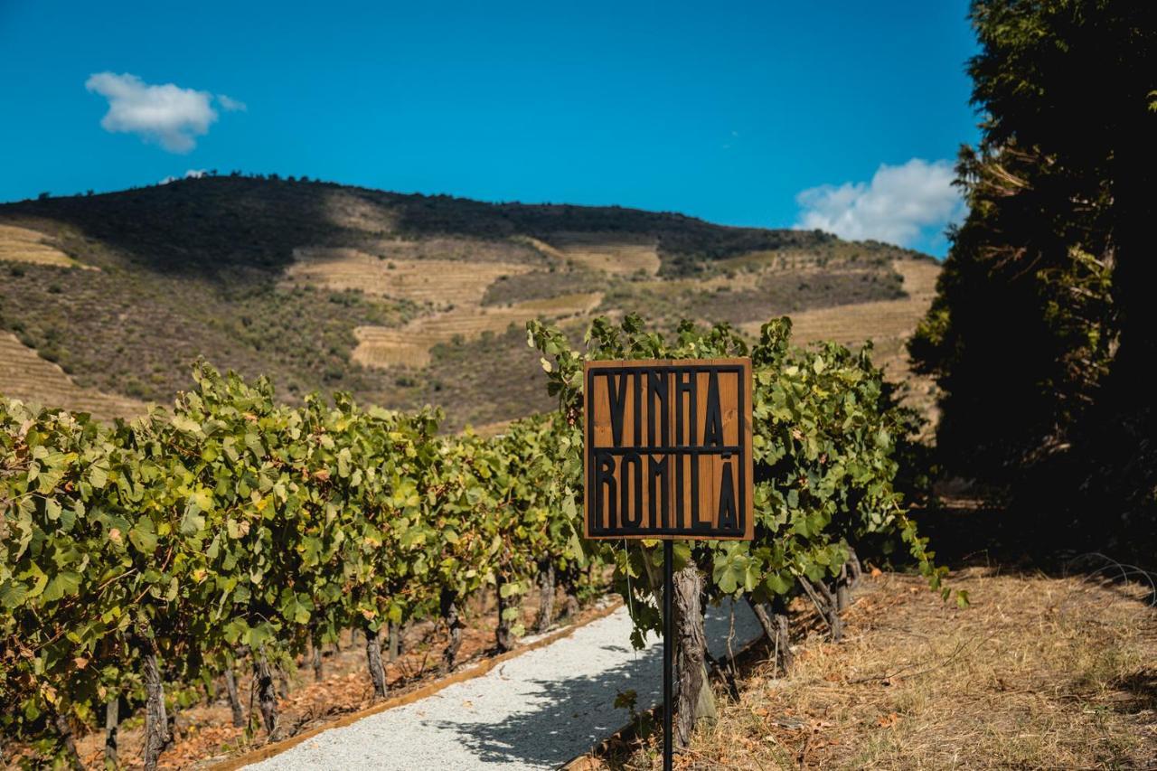 Quinta Sao Luiz The Vine House Douro Pension Tabuaço Buitenkant foto